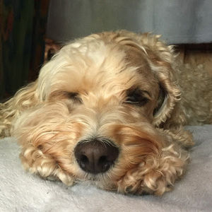 Meet your Posher, Annika